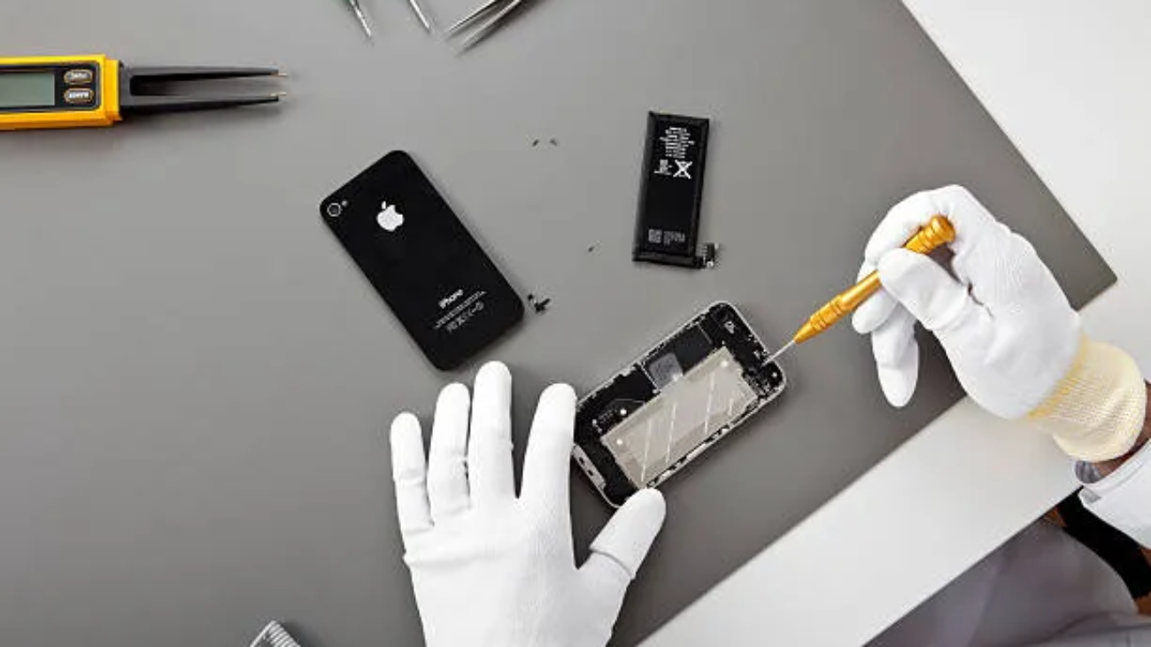 istockphoto-458111623-612×612 (1)