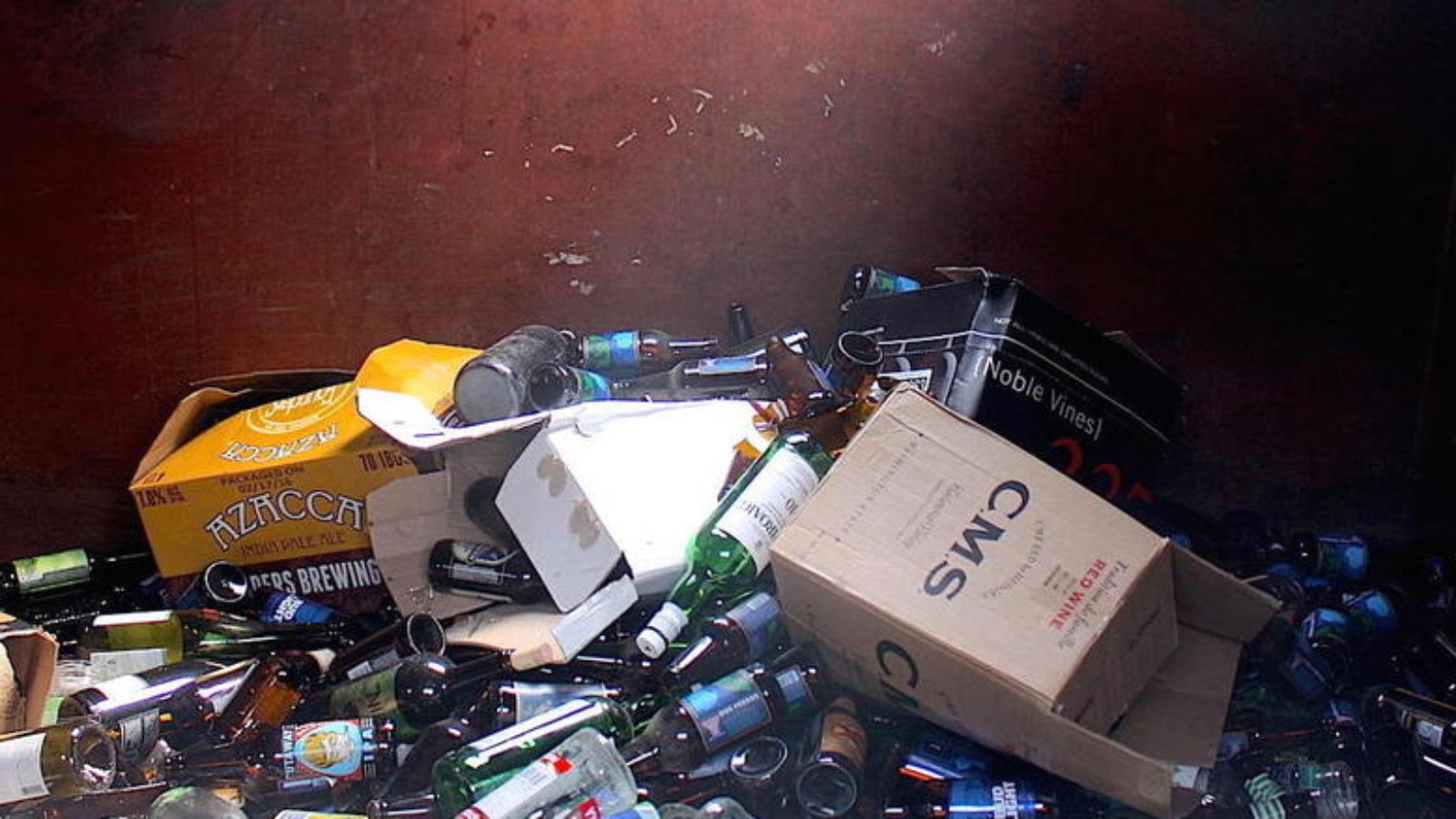 Recycling Program Downtown